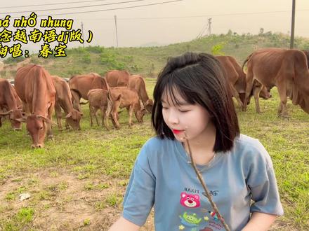 不要问我为什么越南翻唱中文歌这么多?因为中国歌好听呀😂😂#翻唱