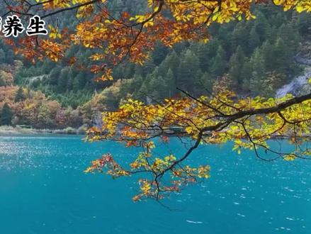 女人养出贵气的十个习惯#倪海厦老师讲中医