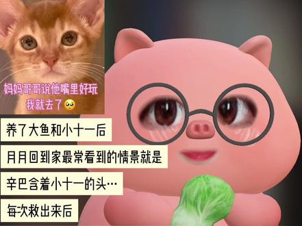 整场唯一观众:田大鱼