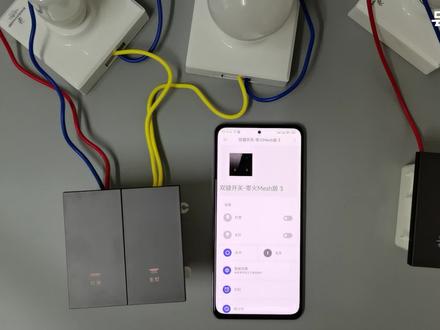 接入米家的智能开关转凌动开关功能控制凌动功能智能灯具#智能开关 #凌动功能 智能灯不离线