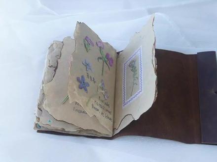 牛奶盒居然还能做本子! #旧物改造 #手工diy #造纸 #押花 #植物标本 #手帐 #我的手工日常