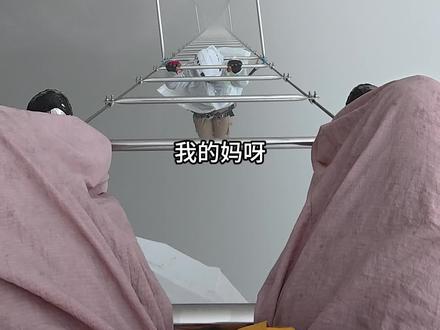 我要上天庭告状! #飞拉达攀岩 #第一视角 #张家界