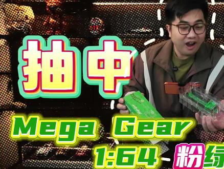 MG 绿恐龙运输车和粉恐龙运输车#MG绿恐龙运输车 #绿恐龙运输车 #aoracing #发车格模型 #小比例车模