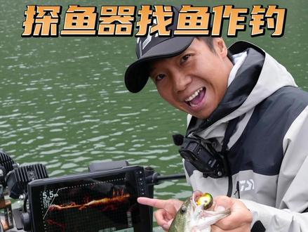 探鱼器如何找鱼 #路亚 #探鱼器 #鲈鱼路亚 #钓鱼人