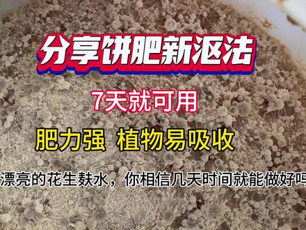 楼顶种菜种果最好用的肥料,今天分享花生麸水肥新沤法,这样沤7天就可以用,肥水浓稠肥力强,植物易吸收,再也不用等一两个月了#楼顶种菜#饼肥制作 #花生麸水肥 #饼肥怎样沤不臭 #花生麸无臭发酵方法