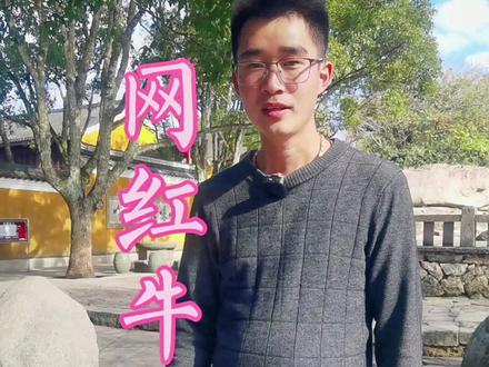 普陀山的网红牛知道在哪吗?#普陀山 #创作灵感 @抖音小助手