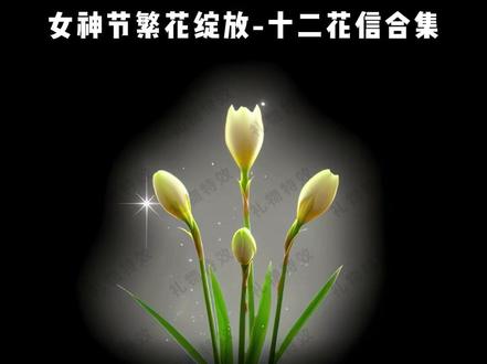 女神节繁花绽放-十二花信合集 #抖音礼物特效 #直播间礼物特效 #女神节礼物特效 #十二花信 #新礼物特效