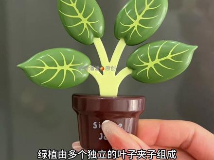 小绿植,大用处,磁吸收纳不占地方,零食保鲜全靠它!厨房必备好物。#磁吸封口夹冰箱贴 #好物推荐给大家