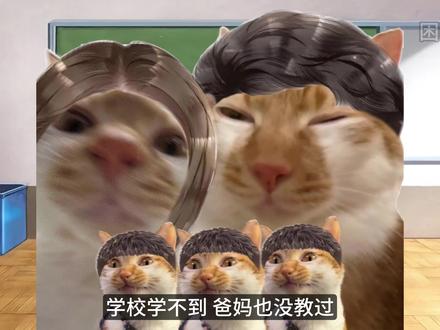 小猫大学习之如何办护照 #猫咪#猫emem#办护照 #护照