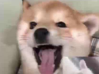 我把胆大心细写成了歌,求取名求入股🙏 #原创歌曲 #炙热计划 #胆大心细 #缘分 #林俊杰