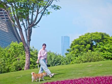 2026年,亚太经合组织第三十三次领导人非正式会议,将在中国广东省深圳市举办。今天的深圳,诚邀世界共襄盛会。相约深圳,共创更美好的未来!#APEC #深圳