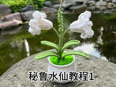 秘鲁水仙教程1#教程分享 #手工diy
