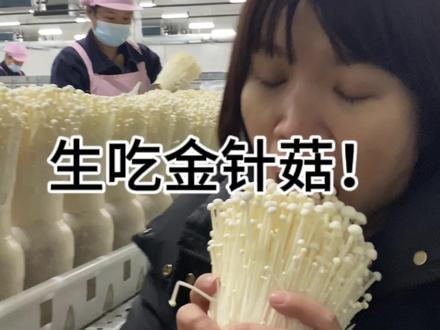 敢不敢挑战一下生吃金针菇#金针菇 #新和镇 #绿色蔬菜