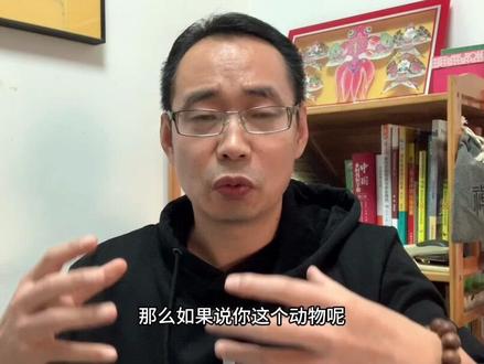 狗得了肺炎,阿莫西林与阿奇霉素哪个效果好?#兽医 #养狗 #狗病#狗肺炎