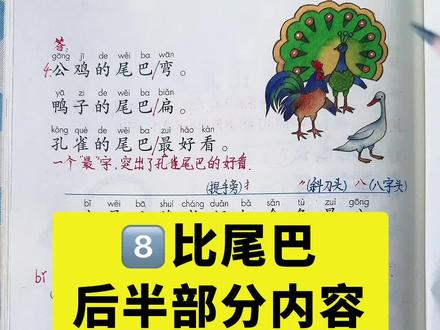 一年级语文上册,第八课比尾巴后半部分内容 #一年级上册语文 #课前预习课后复习 #同步课本 #课文理解