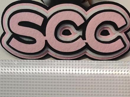 记者
图纸来源:🍠芋圆蜜柑
#拼豆#第五人格#记者