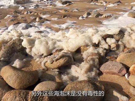 不可思议的“海泡沫”,整个海滩全都被布满,它是怎么形成的? #科普一下 #涨知识