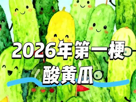 没想到2026年的第一个爆梗就是“酸黄瓜”,也算是吃到瓜了哈。作为南方酸黄瓜的代表我也说几句吧。#酸黄瓜