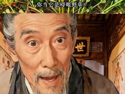 荒野求生最缺的是什么? #荒野求生 #热知识 #中医