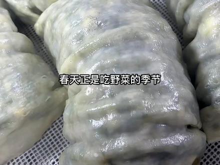 婆媳两个今天去地里挖了这么多野菜,来蒸菜蟒吃,我家小孩都吃了两个#挖野菜 #米米蒿 #野菜 #蒸菜卷 #蒸菜蟒