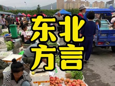 咱们东北地区有没有让人听不懂的方言呢? #东北话 #东北方言 #东北人