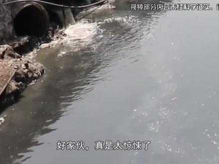 越南网友实拍印度恒河,上游抛尸排便下游饮用?这才是人间炼狱 #趣味科普 #奇闻趣事 #社会热点