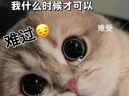 怎么就没人抱小元呢?黑天鹅老师#主持人72#听潮阁元一#元7满满#磕cp#营销号