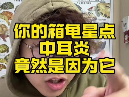 你的箱龟星点开始中耳炎蒙眼了么,竟然是因为它 #嘿爬 #箱龟 #星点龟 #龟病防治 中耳炎在有些时候不是病哦!你知道为什么么?