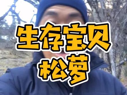 生存宝贝之松萝 #野外生存 #探险 #户外 #徒步 #露营 #bushcraft #植物 #旅行
