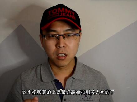 【美人鱼】迄今最清晰拍摄到的人鱼族,氐人国真的存在?! #这个视频有点料