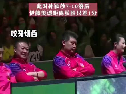 就是从这里入坑的#乒乓 #乒乓球 #乒乓球比赛 #球赛 #中超