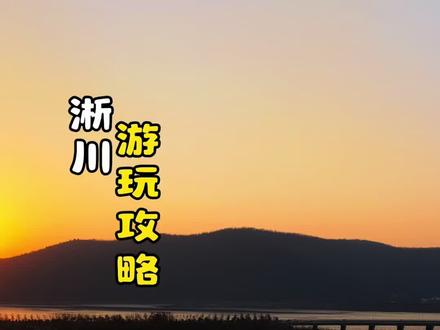 淅川好吃好玩的,游玩攻略#水上云梯 #宋岗码头 #海鸥 #旅游就找魏姑娘 #淅川靠谱旅行社