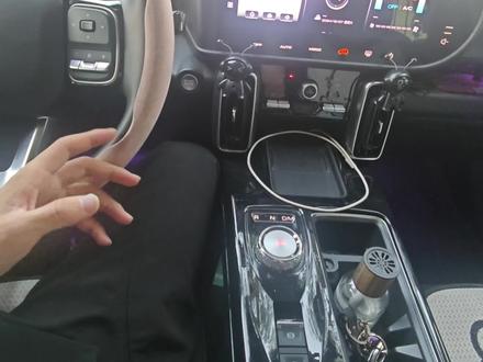 兄弟们,你们熄火停车都是什么流程啊#汽车 #哈弗大狗