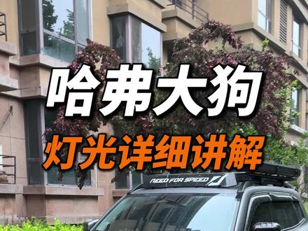 哈弗大狗的灯光你都会用了吗?一期视频给大家详细的讲清楚车上所有的灯光如何开启关闭,分别在什么场景下使用!#哈弗大狗#灯光使用方法#用车知识#哈弗大狗灯光#用车技巧