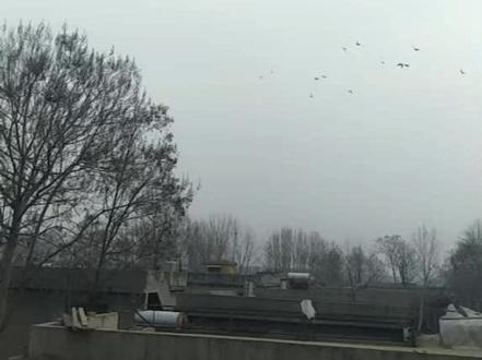 山东省有个枣庄市,枣庄市有个滕州市,滕州市有个官桥镇,这就是我的家乡