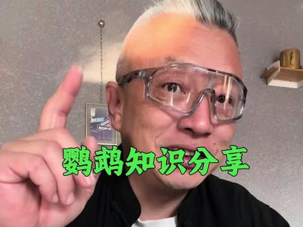 鹦鹉奶粉#鹦鹉#鹦鹉奶粉 #鹦鹉饲养#凡赛尔奶粉