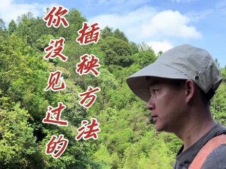 最近雨季暂停改造院长一段时间,这两天种了几亩的水稻,分享不费腰的插秧方法#农村生活 #乡村守护人 #田园生活
