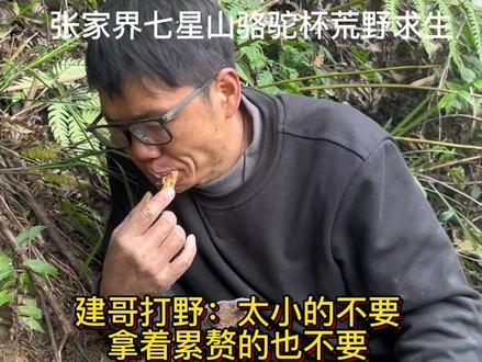 建哥打野非常有他的个性🌚太小的不要,不好吃的不要,拿着累赘的也不要#张家界七星山骆驼杯 #荒野求生 #张家界七星山 #老六荒野 #荒野建哥