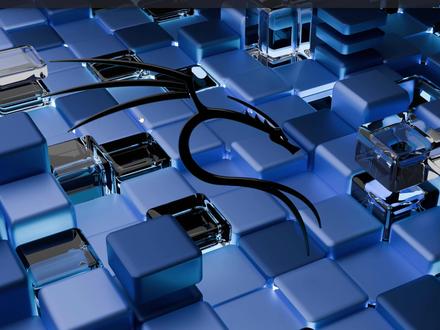 kali及其他linux系统汉化教程