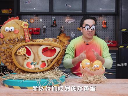 双黄蛋是生命奇迹还是商家骗局?母鸡可能都不知道它咋来的?#知识前沿派对 #抖音青少年科普创作计划 #双黄蛋