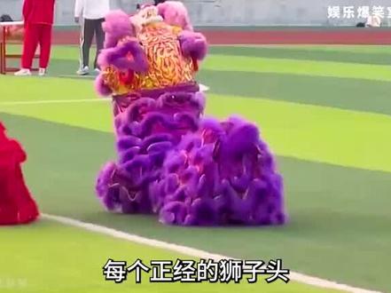 狮子头永远也不知道狮尾在干什么 #搞笑 #搞笑视频