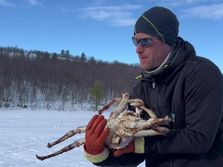 🇳🇴挪威希尔科内斯帝王蟹捕捞之旅。北极圈内的活动真的又独特又好玩又好吃!实现帝王蟹自由吃到撑!!!#帝王蟹 #希尔科内斯 #抓帝王蟹 #挪威旅行 #旅行vlog