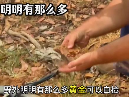 今天曝光:“火山捡金法”等等淘金客的三大硬核寻金法则#淘金 #狗头金 #火山捡金 #行业大揭秘 #科普一下
