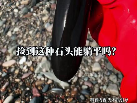 这些捡到的石头你最想拥有哪个? #石头 #户外捡石 #科普 #科普万物