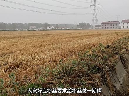 路由器中继模式扩展,到底靠不靠谱,小伙实测告诉你答案