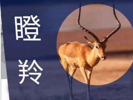 齐商银行济南分行普惠金融