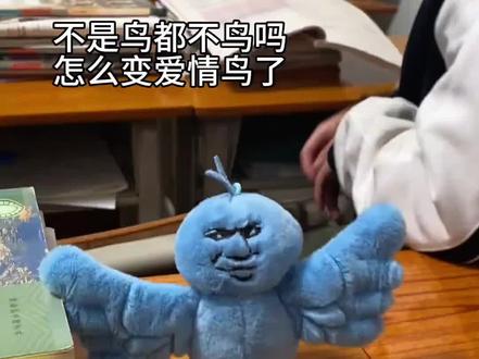 鸟都不鸟你可爱搞怪表情包玩偶抽象表情包毛绒玩具送男女朋友#鸟都不鸟你表情包 #玩抽象 #毛绒表情包 #可爱搞怪表情包