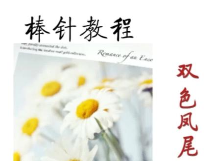 #创作灵感
#教程来了
棒针教程:双色凤尾花样
手把手教你学编织