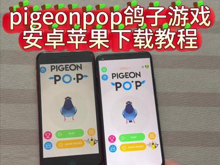 《大文爱玩》pigeonpop鸽子游戏安卓ios下载教程#pigeon鸽子 #pigeonpop #pigeonpop下载 #pigeonpop怎么下载 #pigeonpop游戏