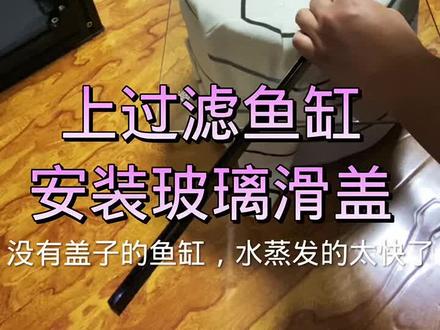 #上过滤鱼缸 #鱼缸盖制作 #养鱼 上过滤鱼缸,玻璃滑盖制作